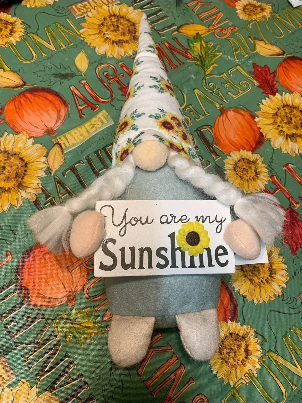 Sunflower Gnome Holding “You are my Sunshine” Sign and Brown Gnome